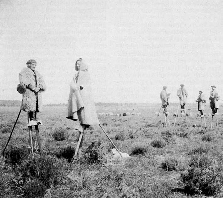 Wood Trekker The Mouleyre Shepherds of Landes France