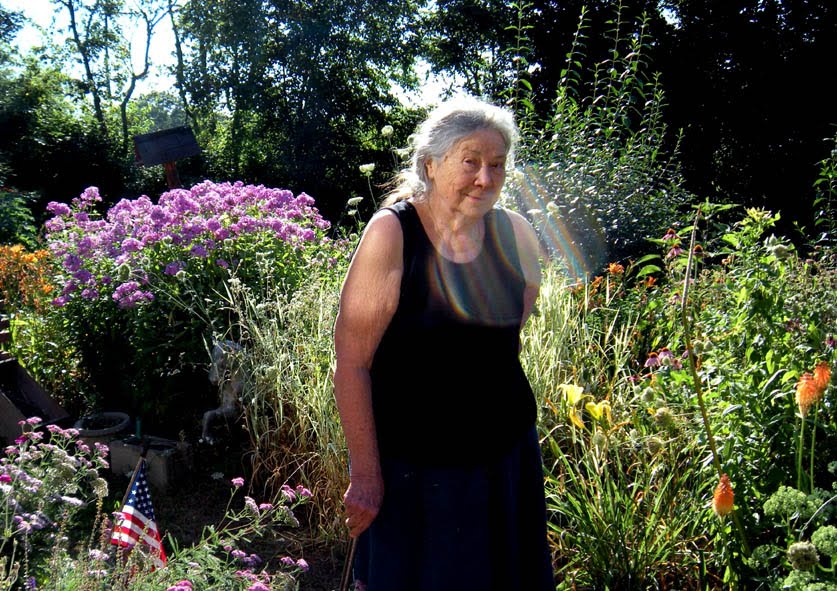 Postcards From Philly Barn Studio And Pat Witt