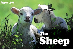 The Sheep  Ages 3-6