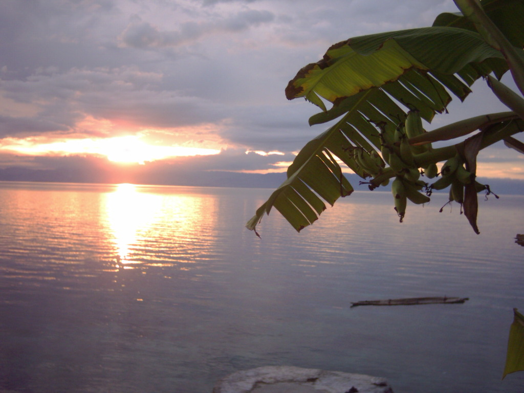 Blogging Is My Hobby Ww Praying For My Safe Trip Back Home