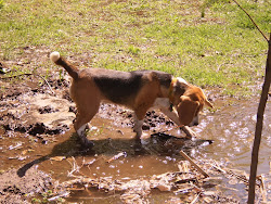 Niní pescando