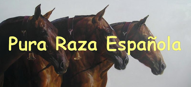 Pura Raza Española (P.R.E)