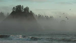 Sea Stacks