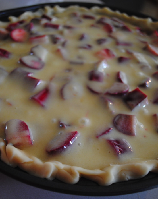 Stephanie's Cooking Nana's Sour Cream Rhubarb Pie