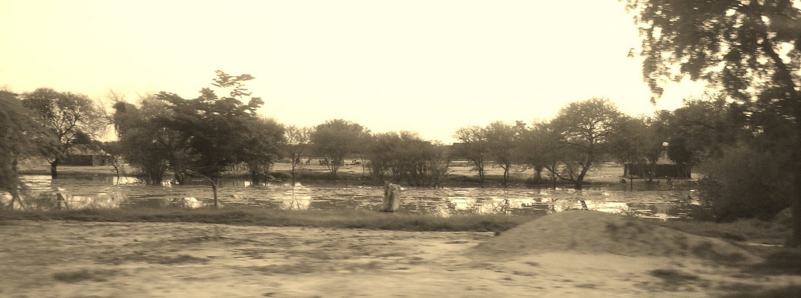 [IMGP1464.JPG]