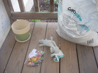 Children's Learning Activities: Plant a Seed