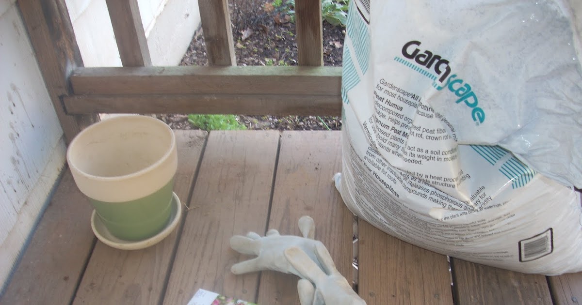 Children's Learning Activities: Plant a Seed