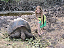 Lizzie and Tortoise