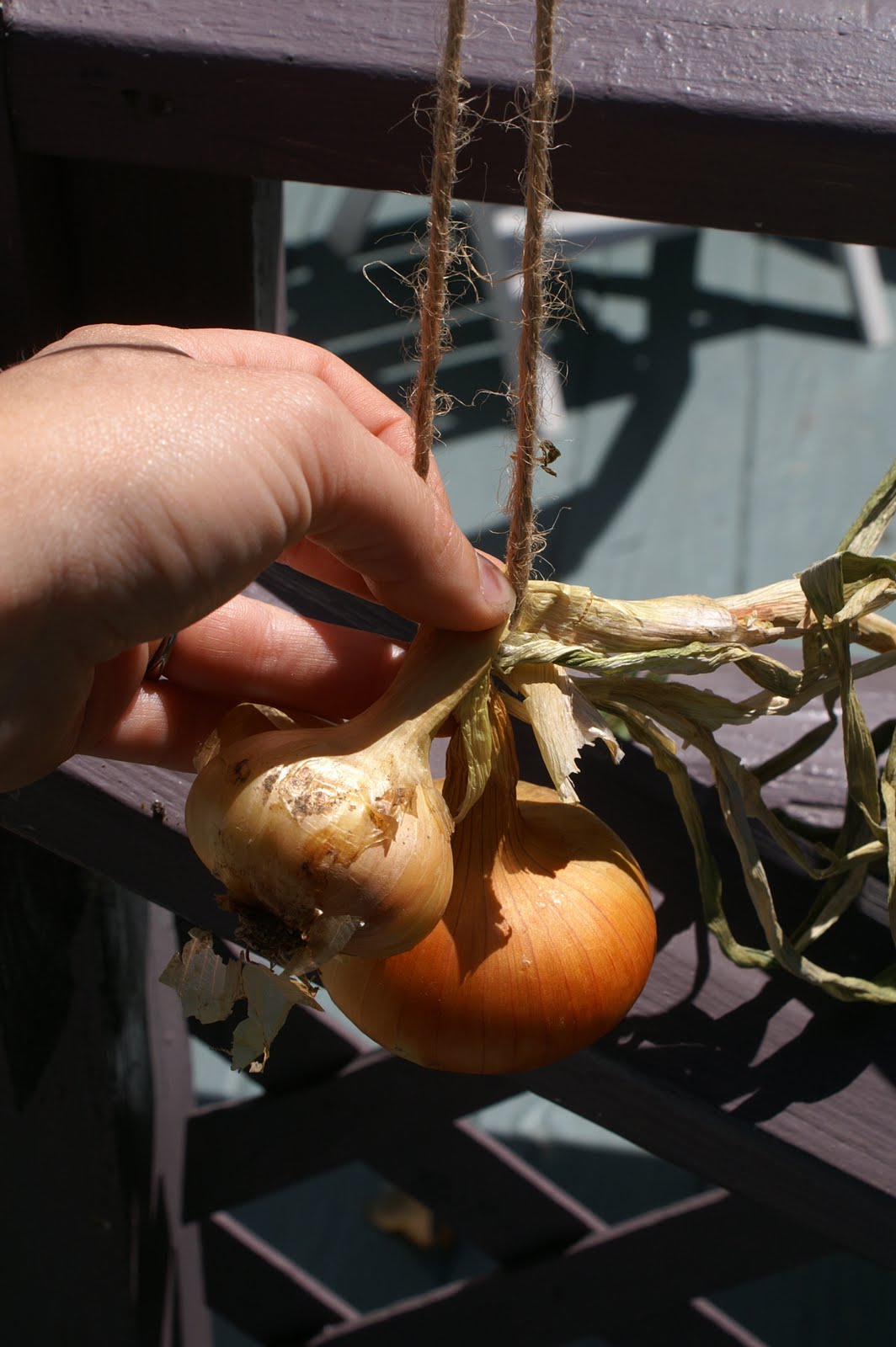 greens and jeans How to String Onions