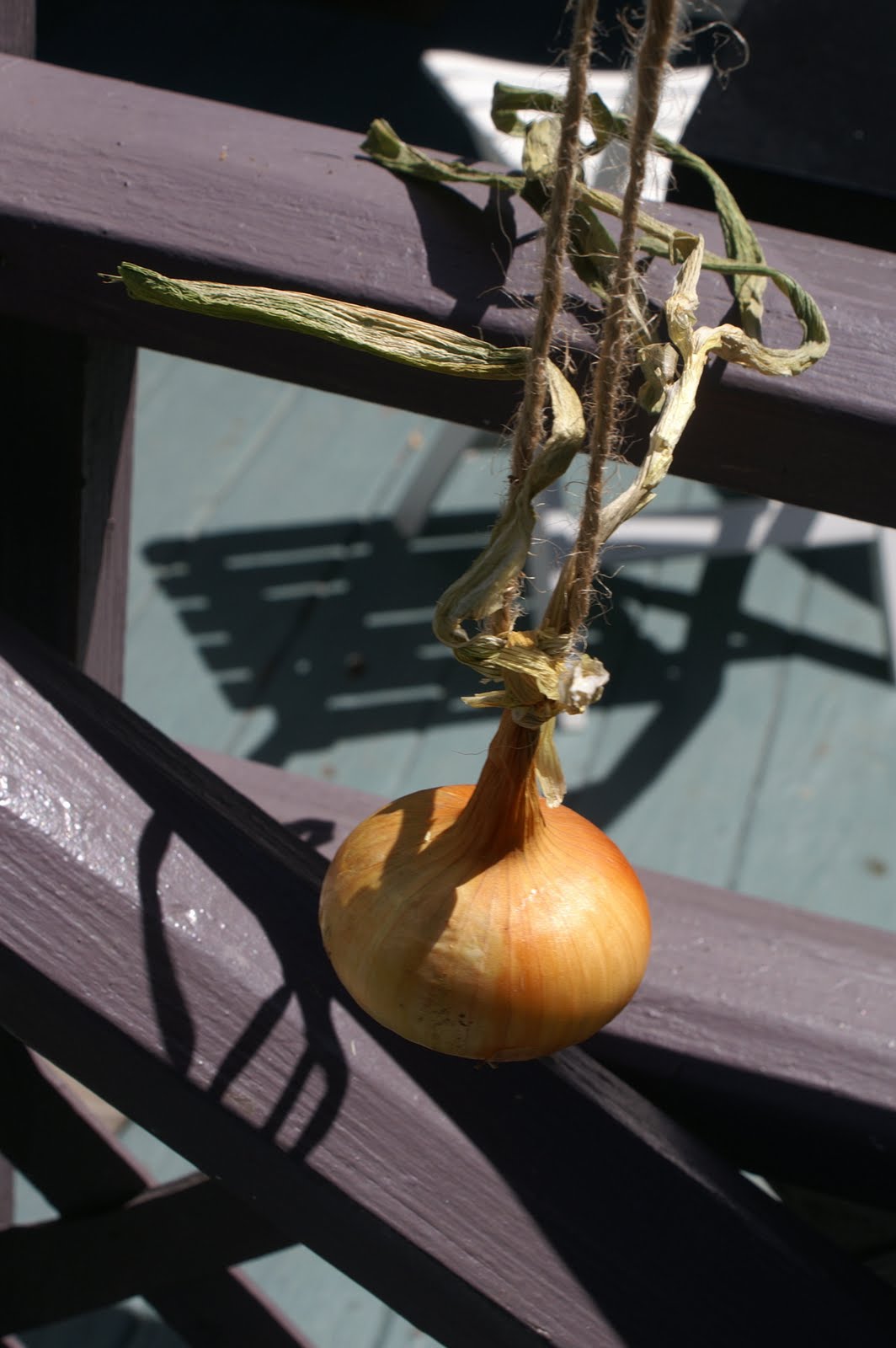greens and jeans How to String Onions