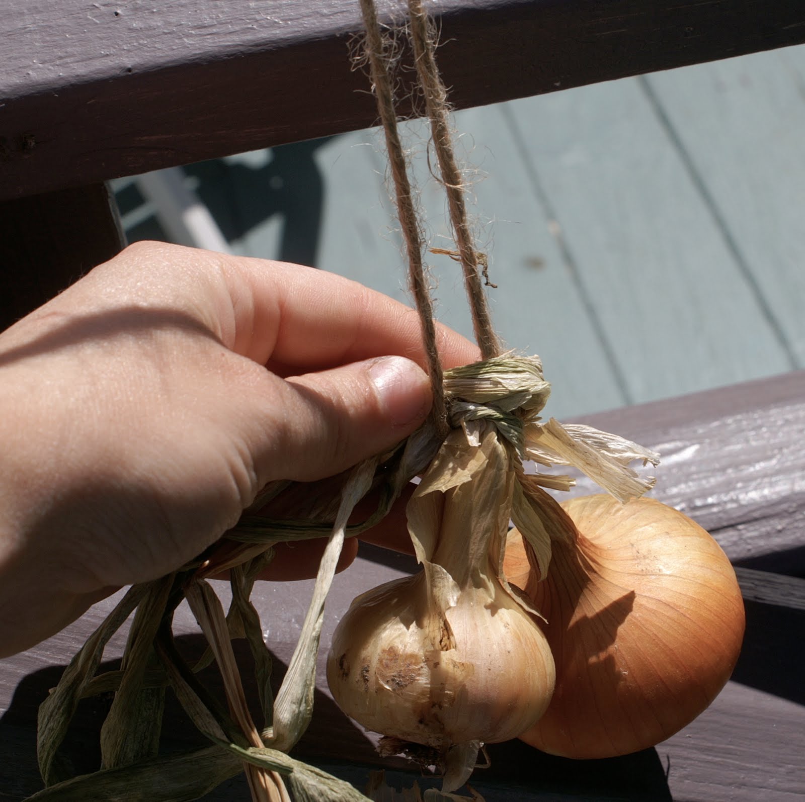 greens and jeans How to String Onions