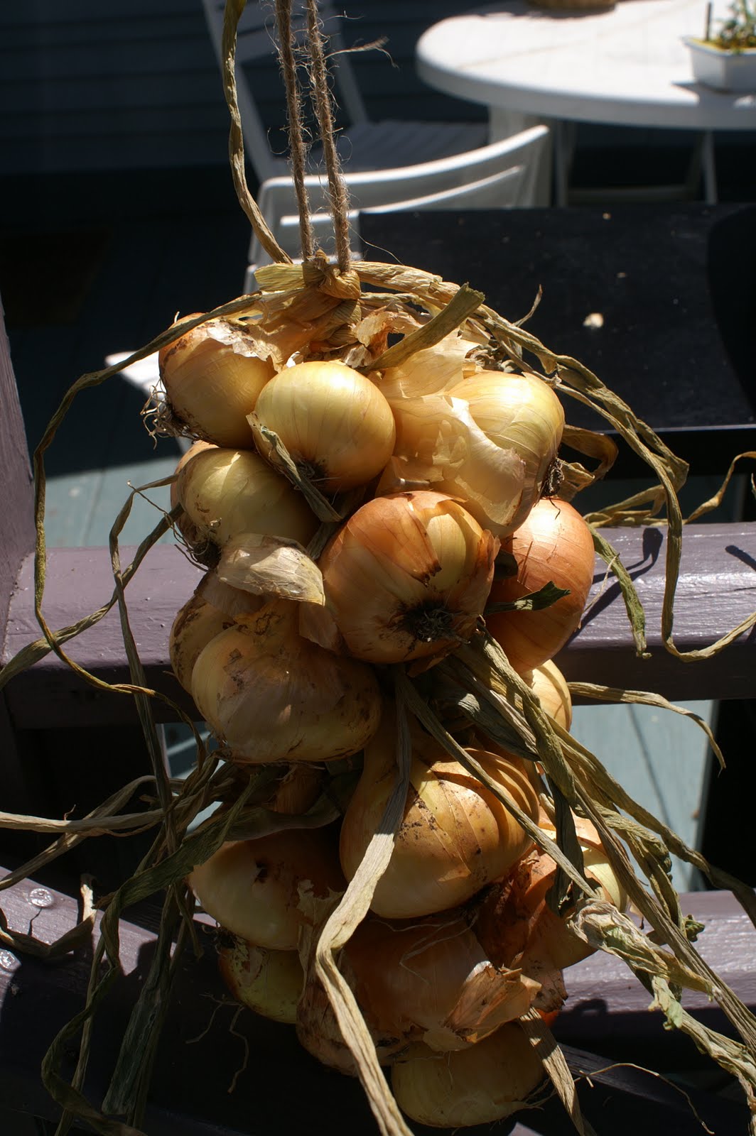 greens and jeans How to String Onions