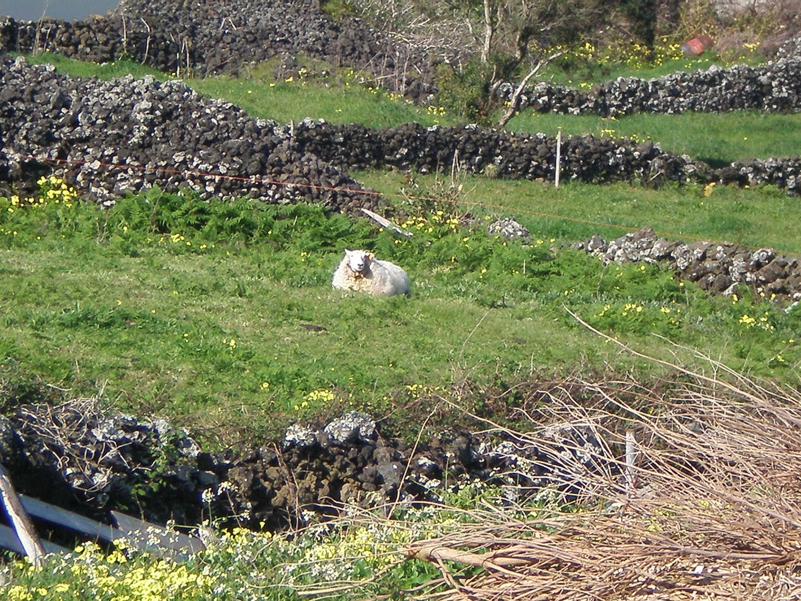 [P3250032.JPG]