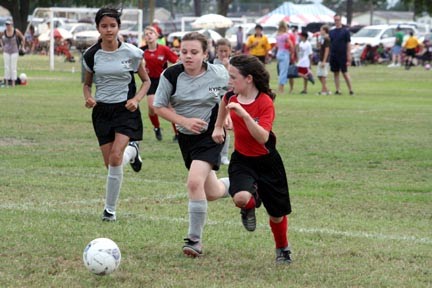 The Houston Parks and