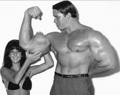 arnold schwarzenegger workout chart. arnold schwarzenegger workout