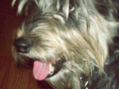 Oliver