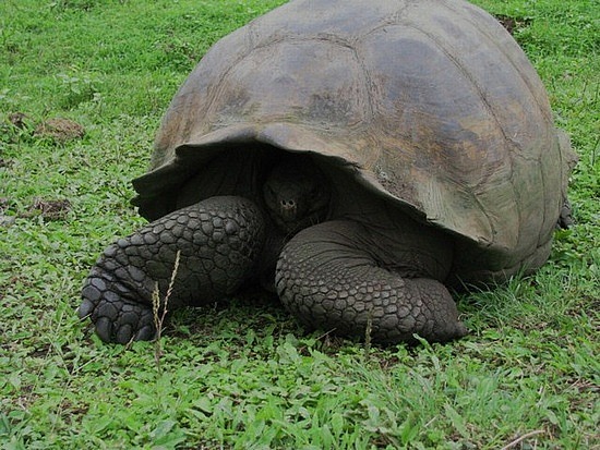 abc coeur site de rencontre