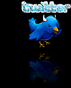 Siga-me no Twitter...