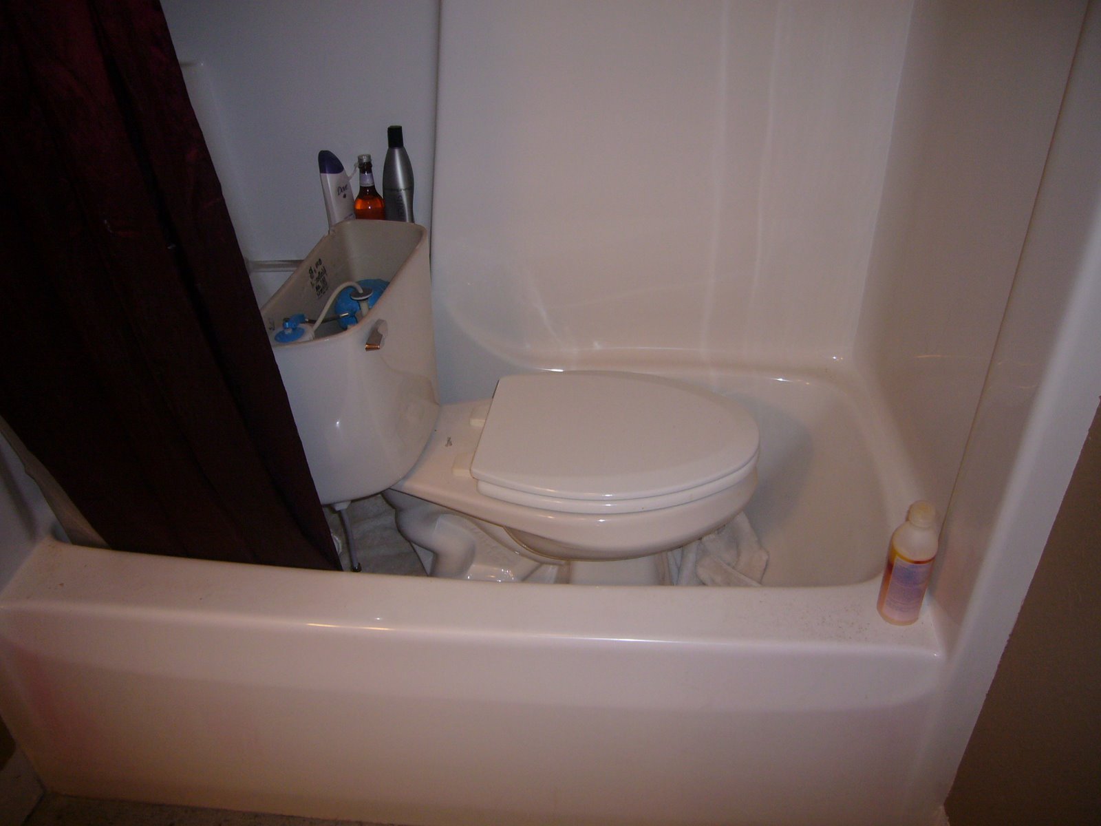 [P1020100.JPG]