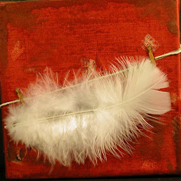 Red Feather