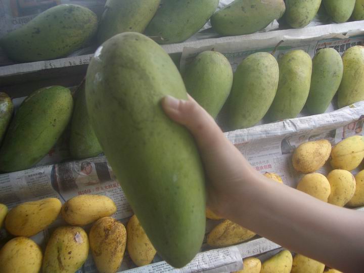 [Resize+of+IMGP8015.JPG]