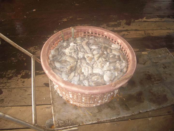 [Resize+of+IMGP8003.JPG]