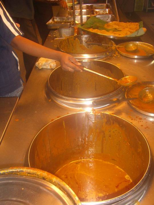 [Resize+of+IMGP8473.JPG]