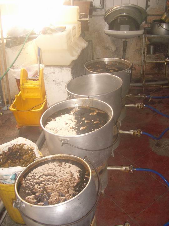 [Resize+of+IMGP8842.JPG]