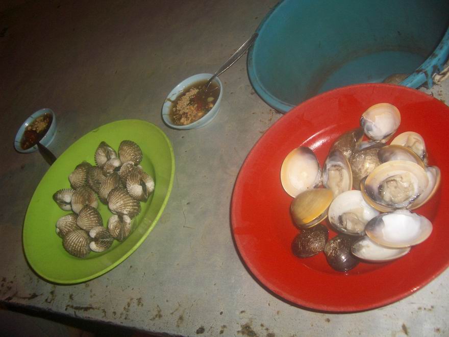 [Resize+of+IMGP8812.JPG]