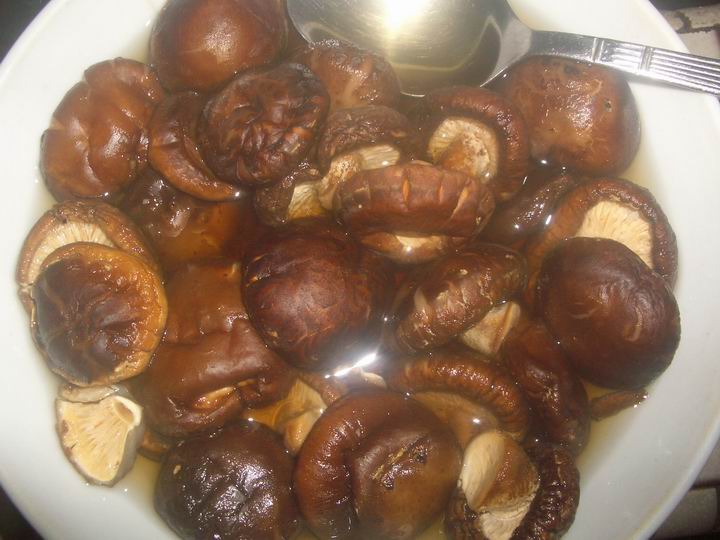 [Resize+of+IMGP9515.JPG]