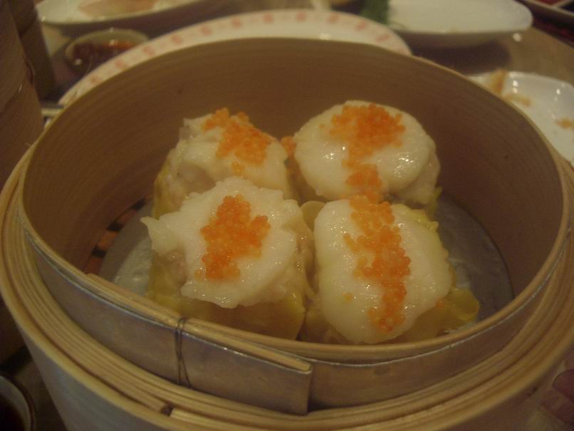 [Resize+of+IMGP0003.JPG]