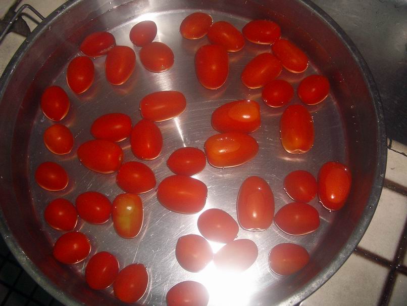 [Resize+of+IMGP0462.JPG]