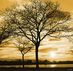 [Mother+and+Child.jpg]