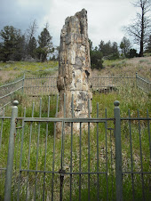 Petrified Tree