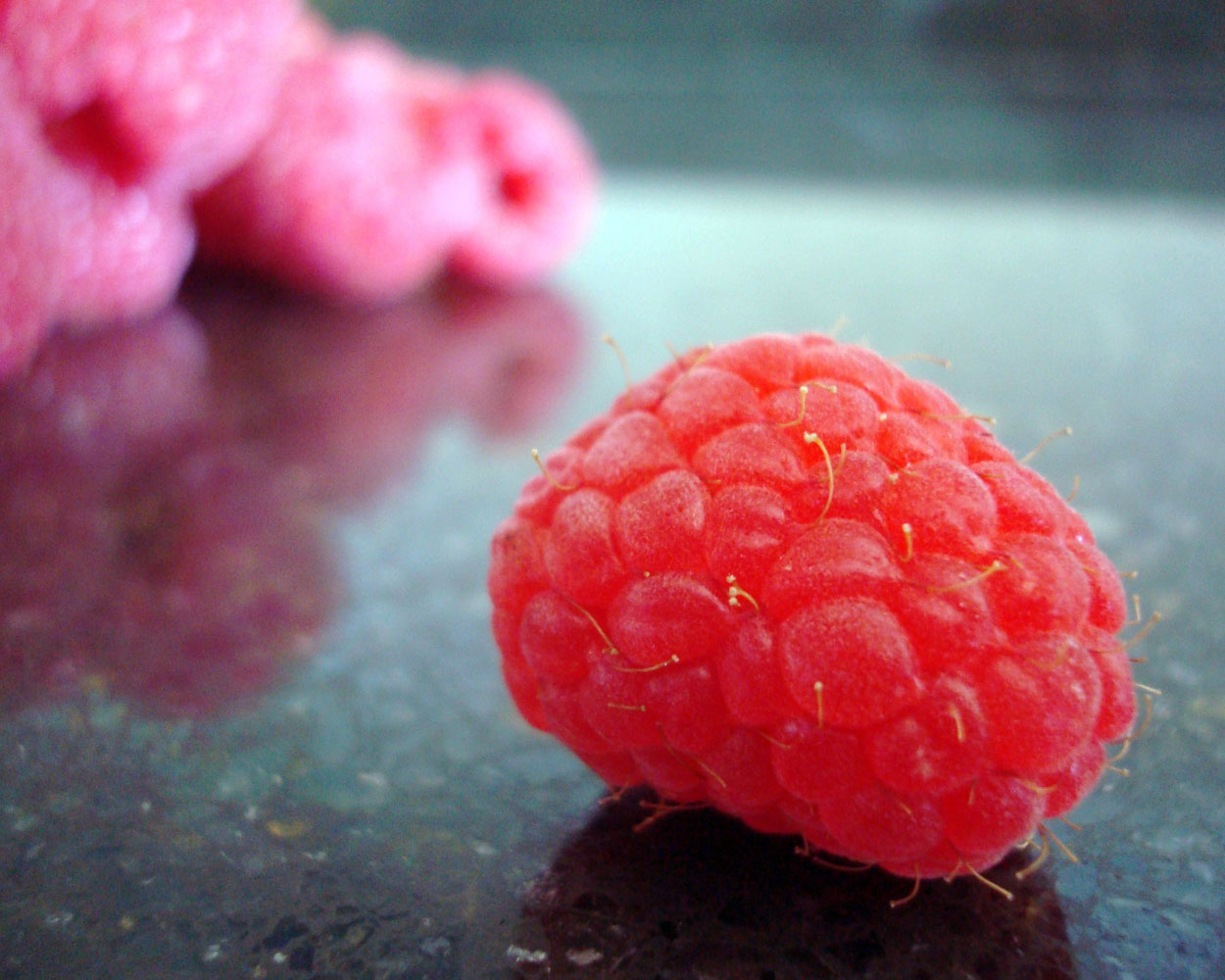 Wilde in the Kitchen Raspberry and peppermint marshmallows (2 recipes)