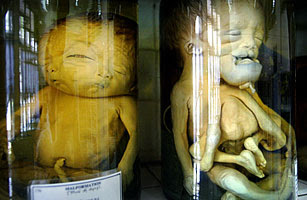 Agent Orange continues to