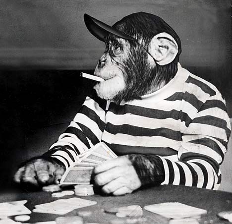 chimp_playing_poker_smoking.jpg