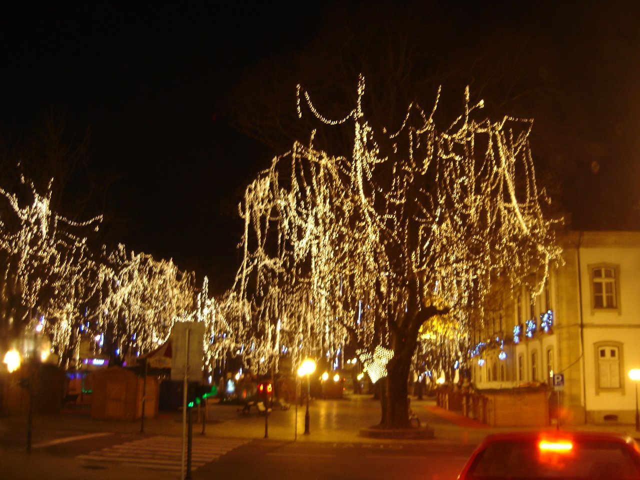 [DSC02890.JPG]