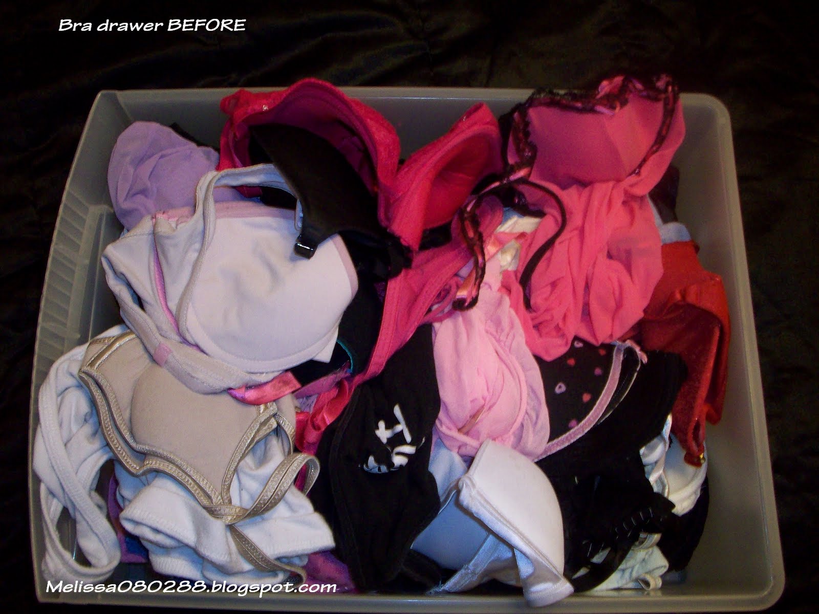 Affordable Beauty by Melissa How to organize your Bra's, Undies, Socks