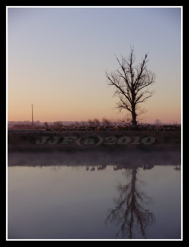 [Image7.jpg]