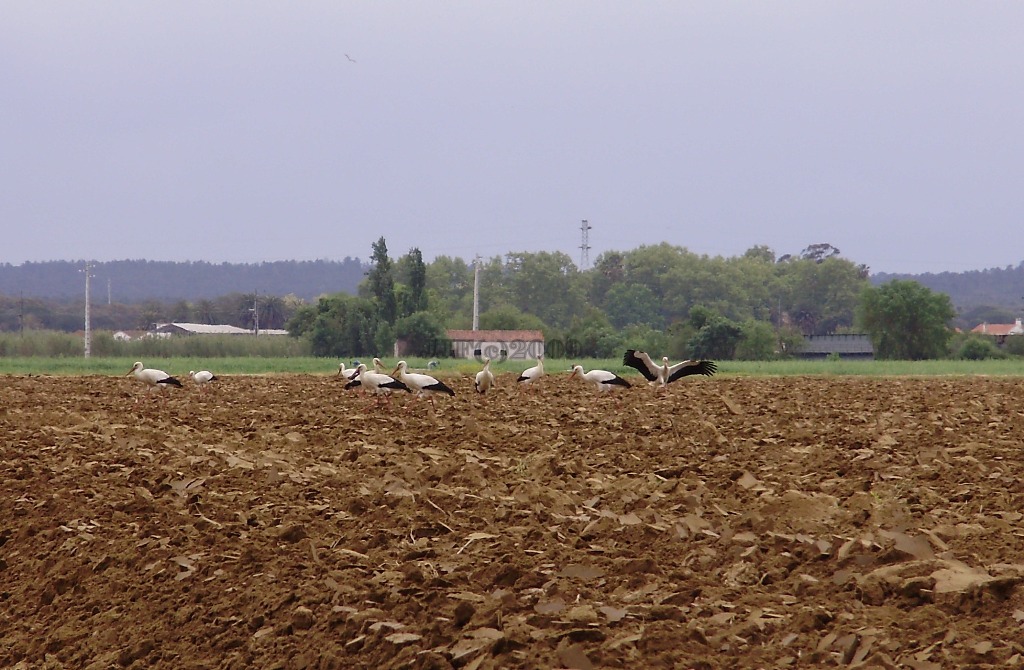 [P3300039.JPG]
