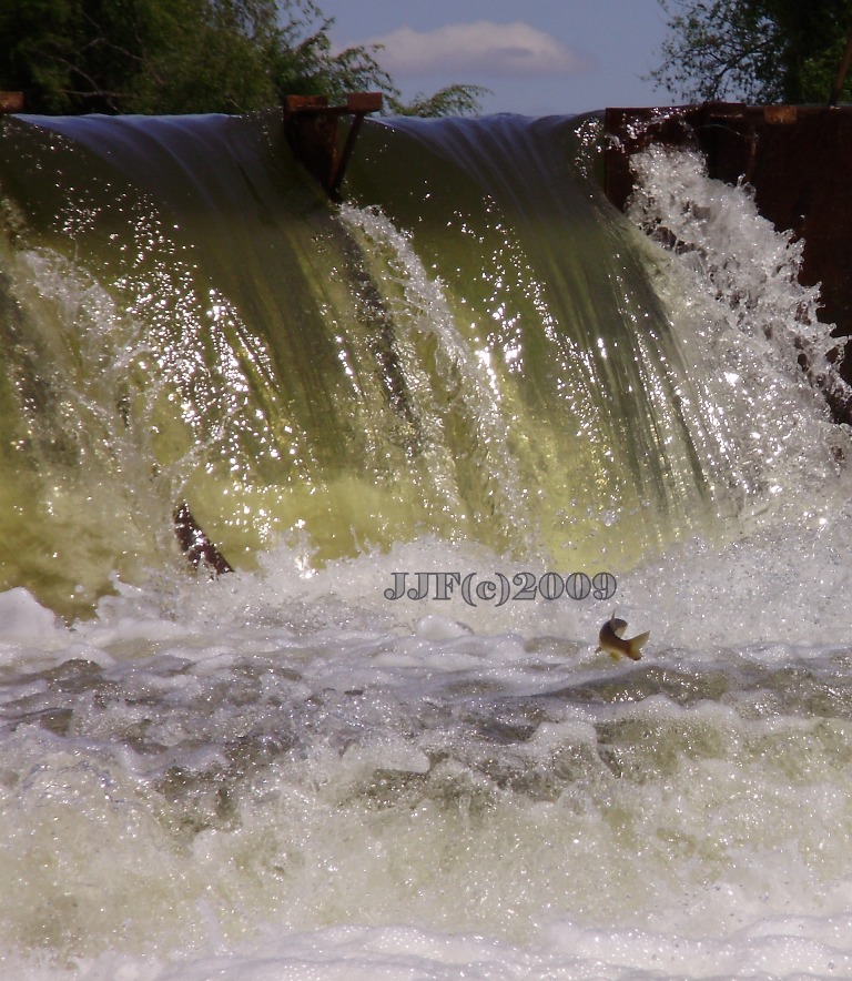 [Rio+Sorraia+2009+(2).JPG]