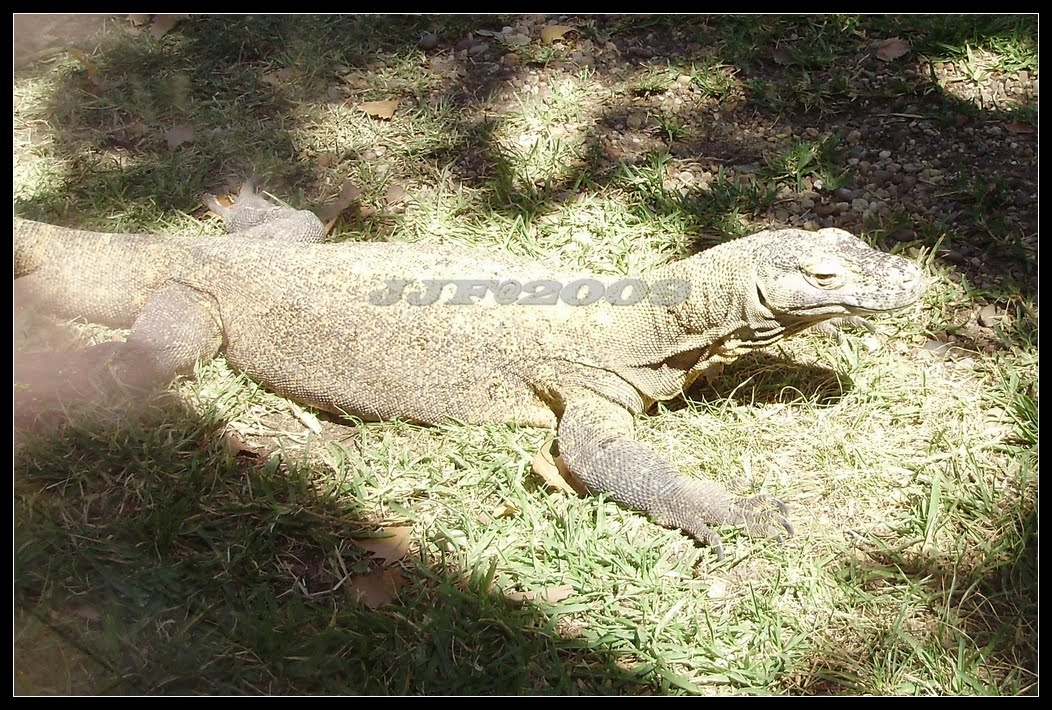 [Image40.jpg]