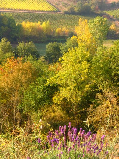 [AutcolsacrossLayon05s.jpg]