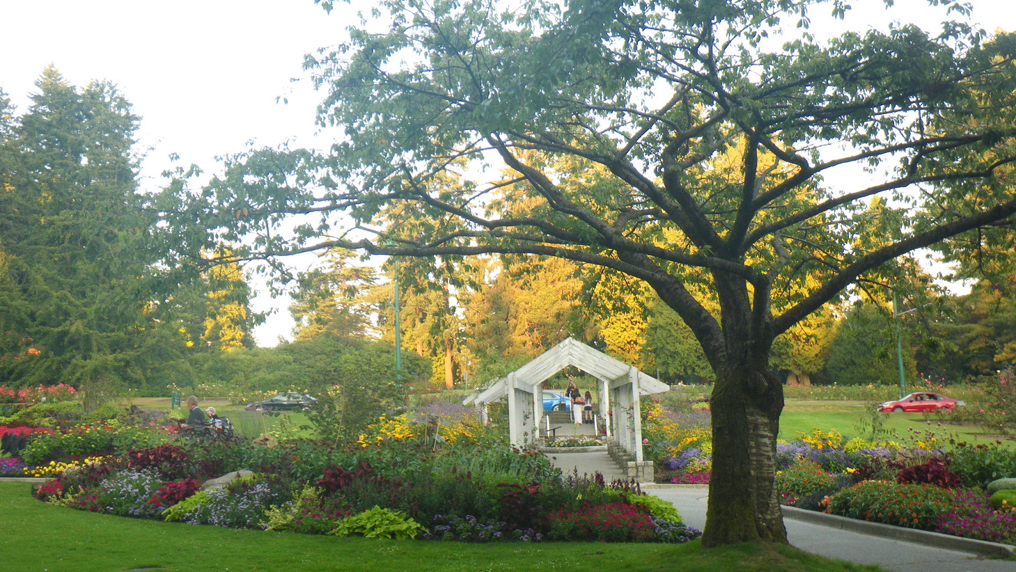 Scented Leaf Shakespeare Garden and Rose Garden from Stanley Park