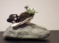 Seashell with accent plants