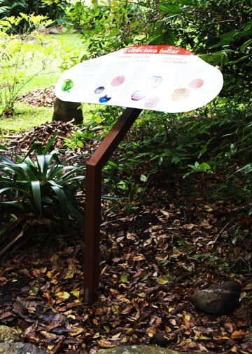 Diseño y diagramación de paneles expositivos