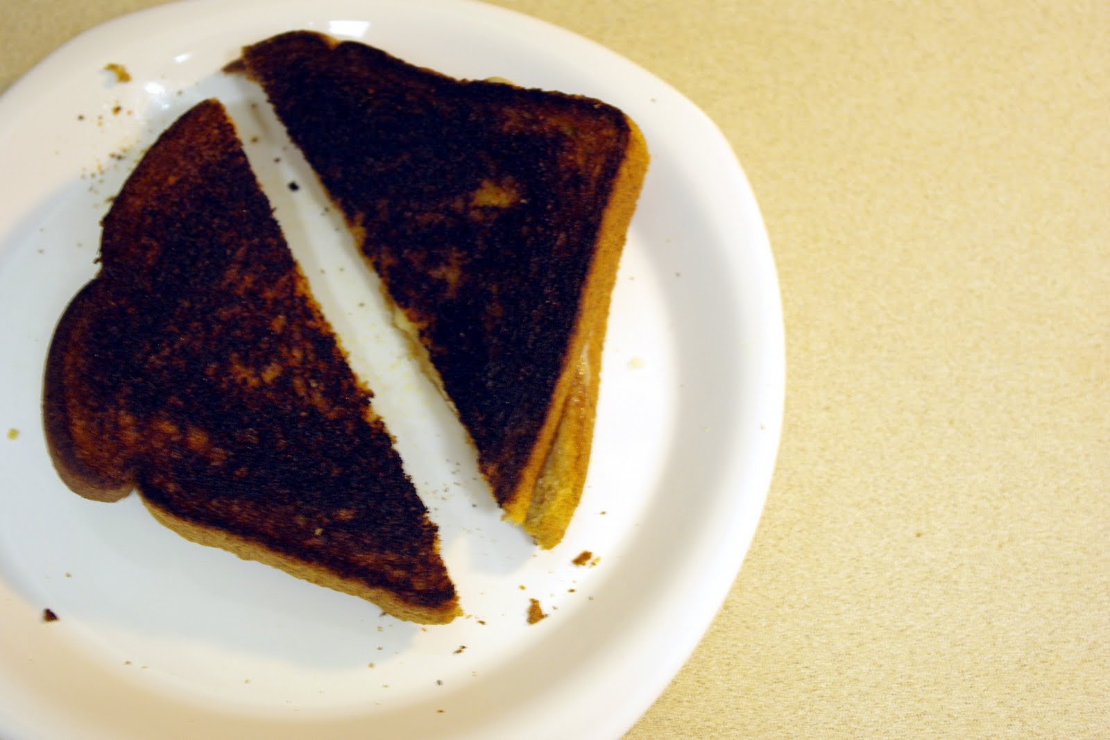 Besties' Photo a Day Burnt grilled cheese
