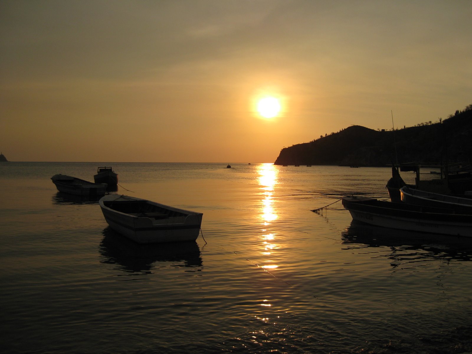 [IMG_0221.JPG]