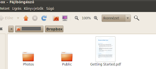 Dropbox ubuntu linux